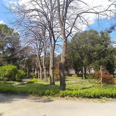 Antique - Center Apartman *