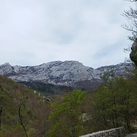 Antique - Center Zadar