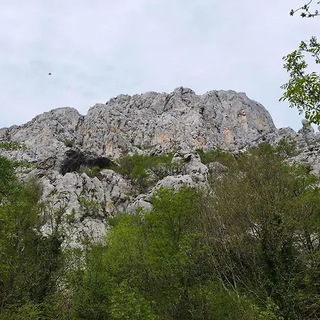 Antique - Center Apartmán *