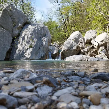 Antique - Center * زادار